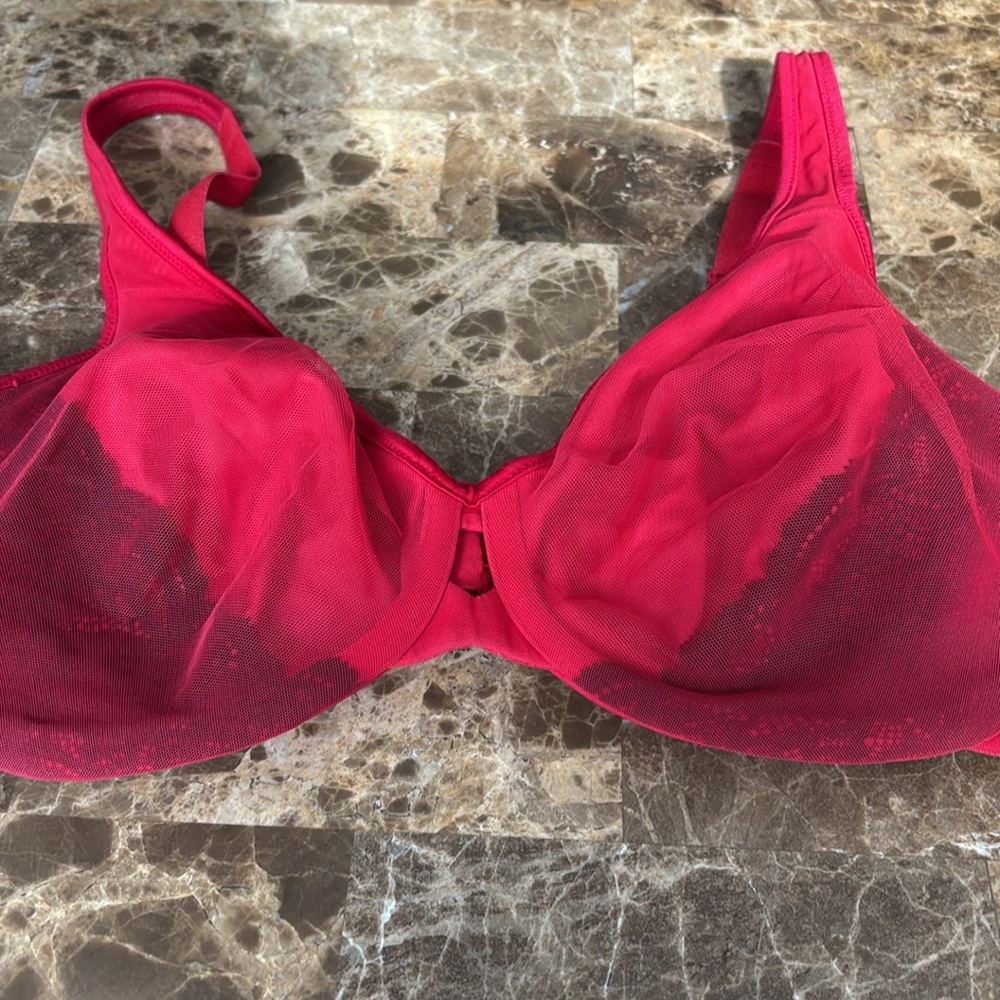 2-&13-Lilyette EUC Inner lace bra